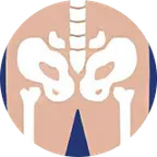 Icono de la cadera y la pelvis, zona que cuida Artilex