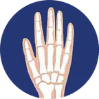 Icono de la mano y la muñeca, zona que cuida Artilex